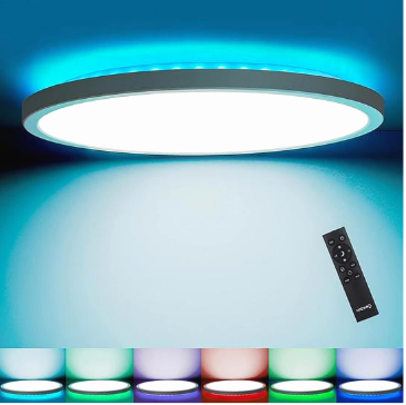 Oeegoo Led Flush Mount RGB Ceiling Light With Remote