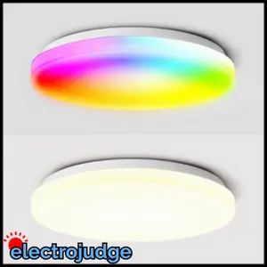 WIXANN Smart Ceiling Light