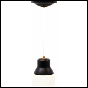 It's Exciting Lighting Battery Powered Hanging Pendant Light